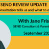 Jane Friswell SEND Review Update