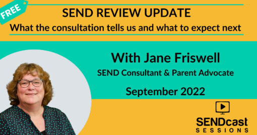 Jane Friswell SEND Review Update