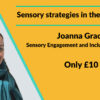 Sensory strategies in the classroom by Jo Grace