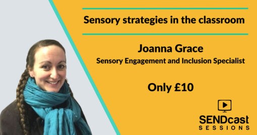 Sensory strategies in the classroom by Jo Grace