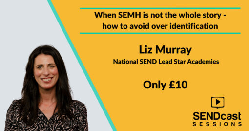 When SEMH is not the whole story by Liz Murray