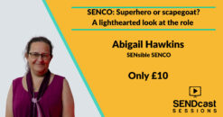 SENCO: Superhero or scapegoat? by Abigail Hawkins