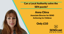 Can a Local Authority solve the SEN puzzle with Anna Chiva