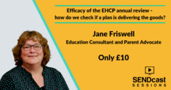 Efficacy of the EHCP annual review with Jane Friswell