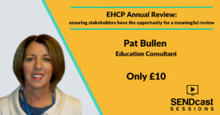EHCP Annual Review with Pat Bullen