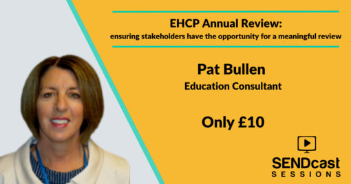 EHCP Annual Review with Pat Bullen