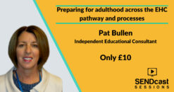 Preparing for adulthood across the EHC pathway with Pat Bullen