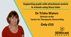 Supporting pupils with attachment anxiety in schools using Story Links with Dr Trisha Waters