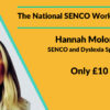 The National SENCO Workload Survey with Hannah Moloney