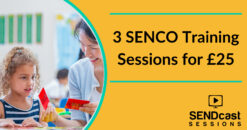 SENCO training sessions