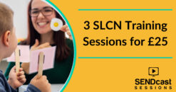 SLCN training sessions