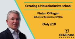 Creating a Neuroinclusive school by Fintan O'Regan