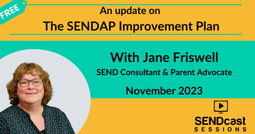 Update on the SENDAP Improvement Plan with Jane Friswell