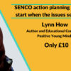 SENCO action planning - where to start when the issues seem so big with Lynn How